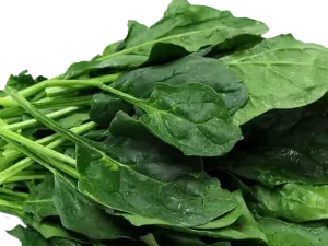 Espinaca x Atado