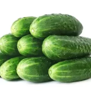 Pepino x Kg